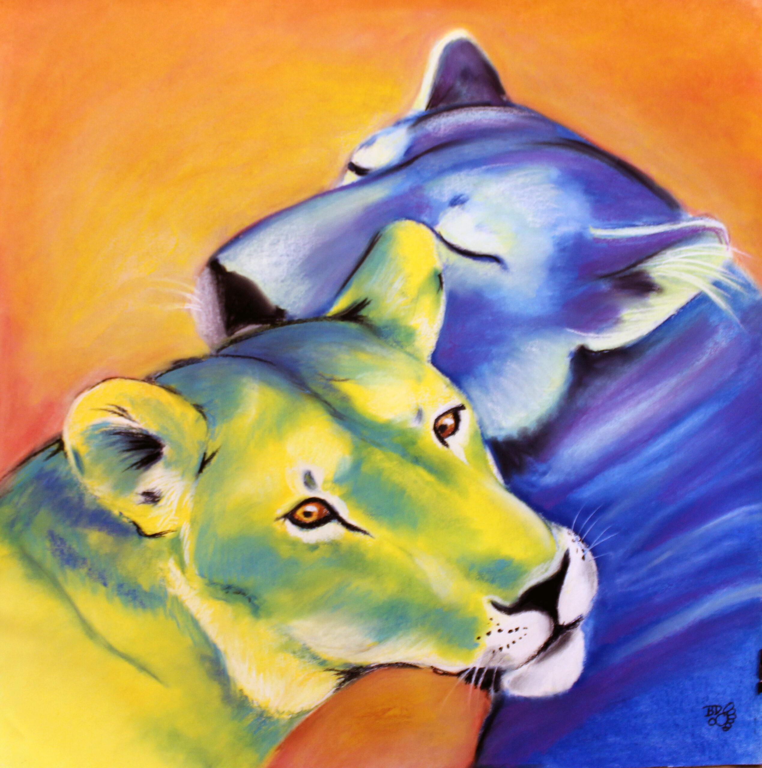 Les lionnes